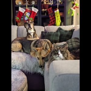 Meet your Posher, Kelsey